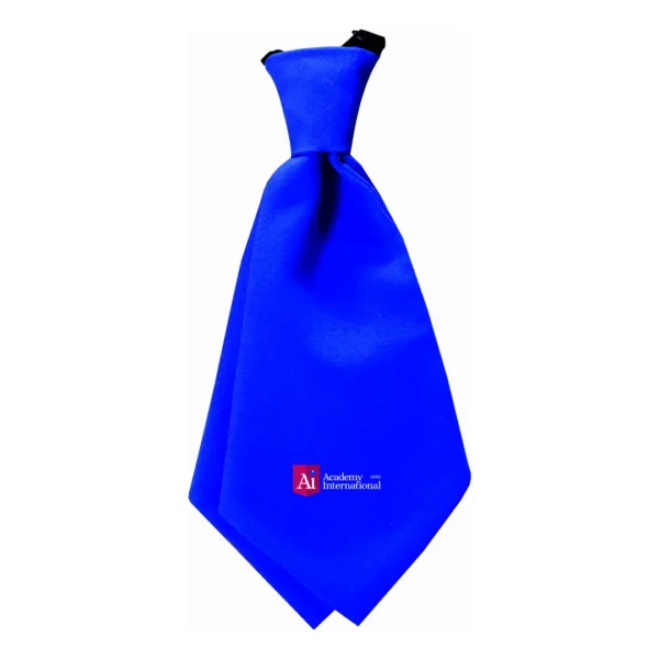 Krawatka Academy International